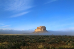 01-3P1A0455