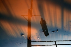 01111-IMG_9806