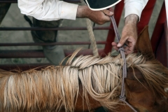 BILL-W-CURRY-ONE-GUEST-RANCH_Page_10-min