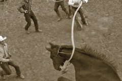 BILL-W-CURRY-ONE-GUEST-RANCH_Page_20-min