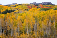 BILL-W-CURRY-ONE-GUEST-RANCH_Page_57-min