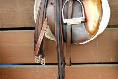 01-polo-9