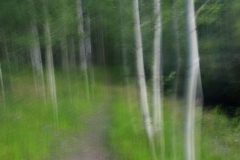web-0E2A8034