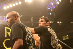 the-ufc-champs