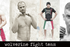 wolverine-fight-team-2