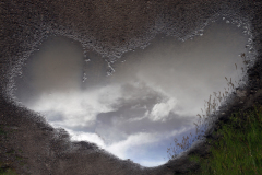 a-summer-shower-puddle-tres-pedras