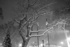 bw-taos-plaza-snow