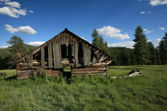 color-IMG_8836