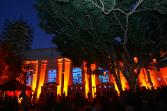 01-tree-lights