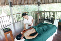a-sonevafushi-spa-room-application