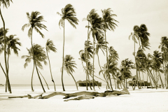 sepia-soneva-gili-beach