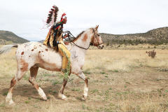 Cimarron Cheyenne 1