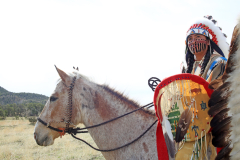 Cimarron Cheyenne 2
