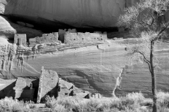 Shadows of the Ancestors