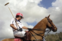 01-polo-5