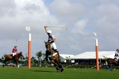 01-polo-two