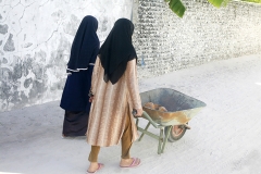 web-the-two-women-